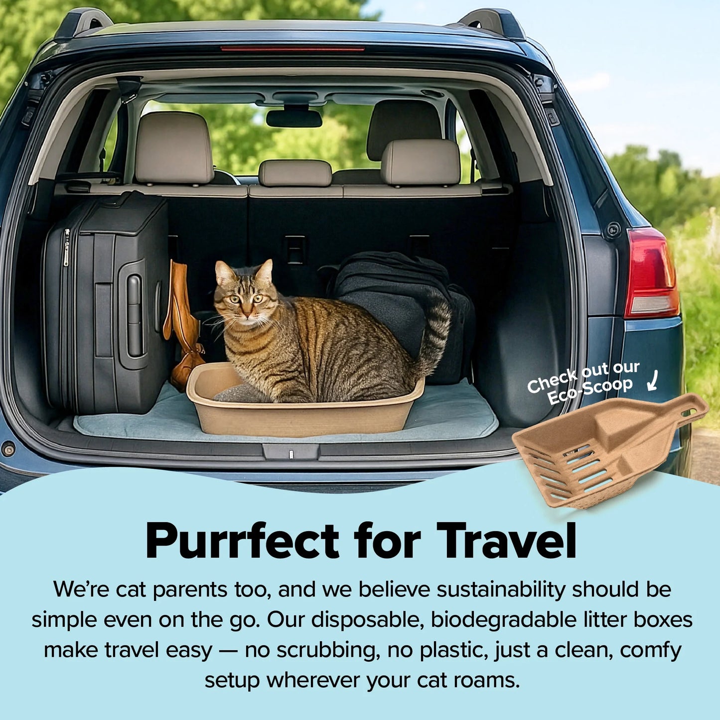 Eco-Friendly Disposable Litter Box Jumbo for Cats (Pack of 6)